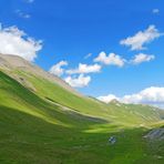 Blue Albula