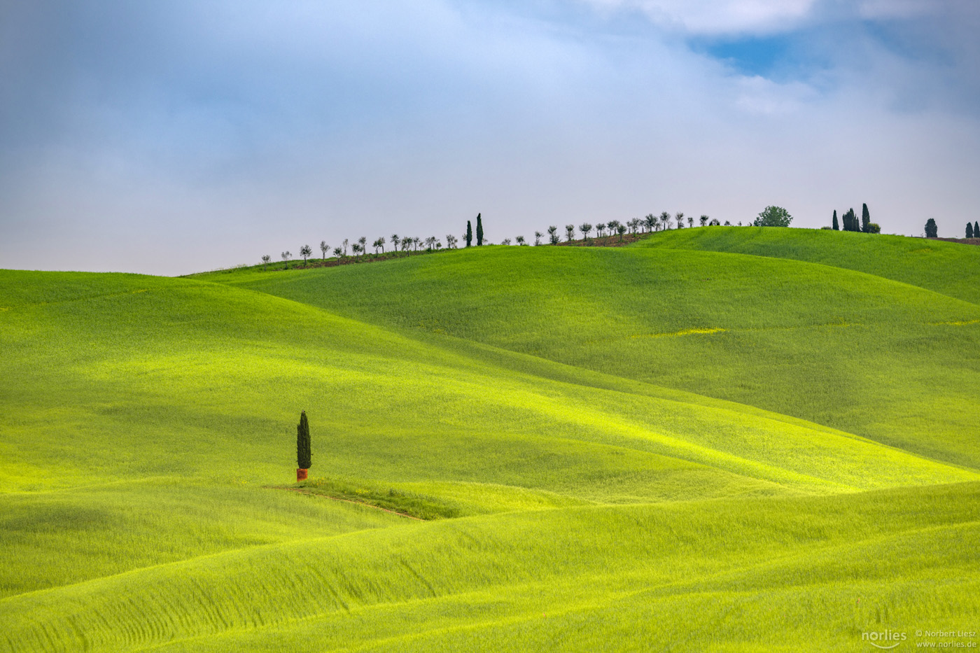 blue and green