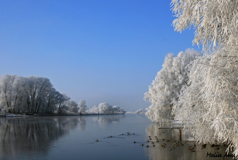 ~ blue and white ~