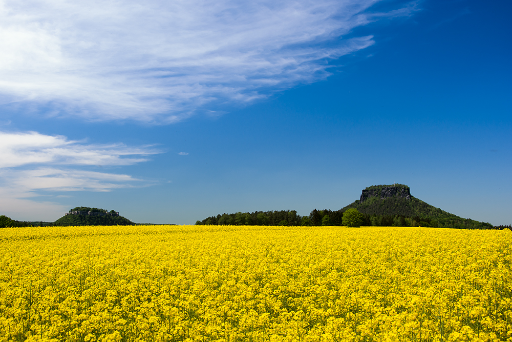 Blue and Yellow