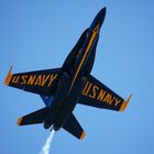 Blue Angels #3