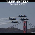 Blue Angels in San Francisco's 2008 Fleet Week