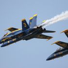 Blue Angels mit F/A 18A Hornet