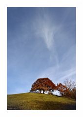 blue autumn sky