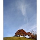 blue autumn sky