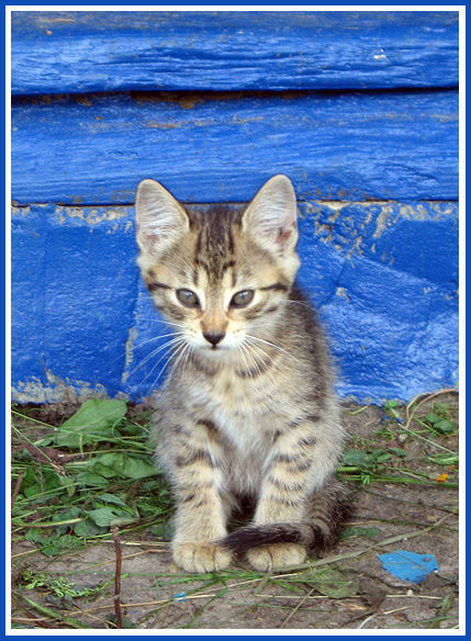 Blue Background