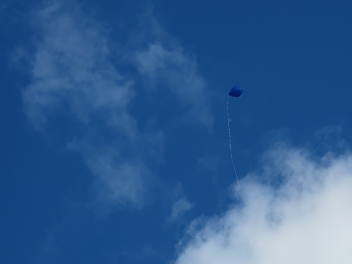 blue Balloon