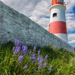 blue bells and lighthouse...