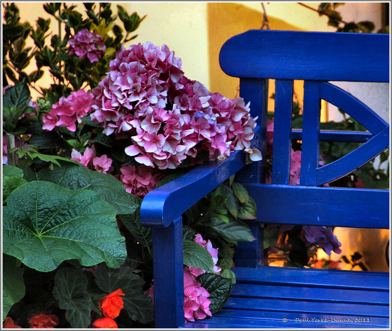 Blue bench