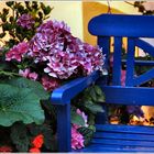 Blue bench