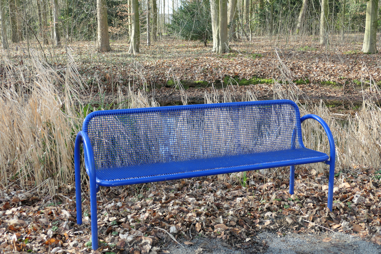 Blue bench in the park
