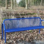 Blue bench in the park