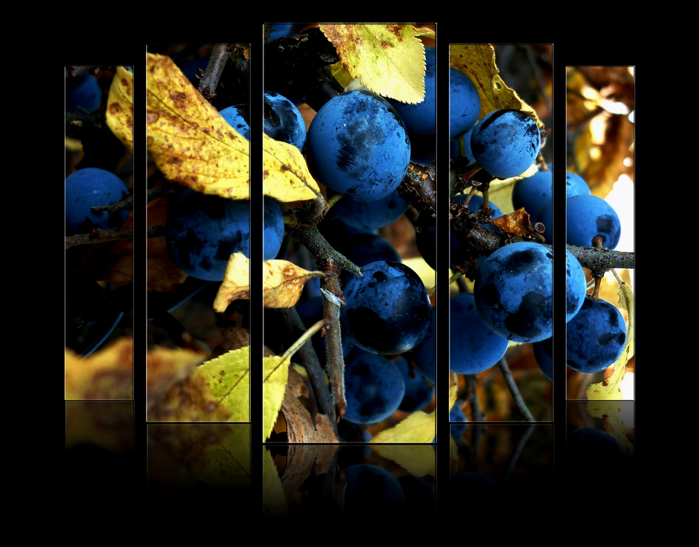 ~ blue berries ~