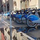 Blue bikes in New York 