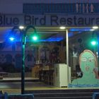 blue bird