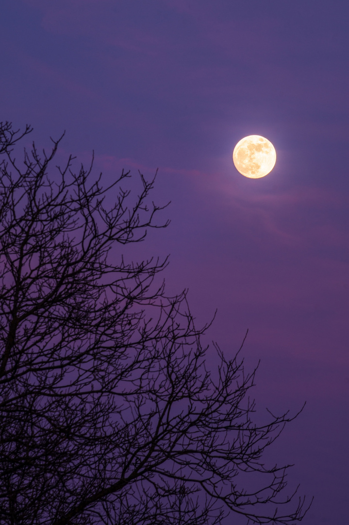 Blue Blood Super Moon Jan 2018