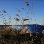 Blue Boat on the Beach