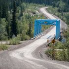 Blue bridge