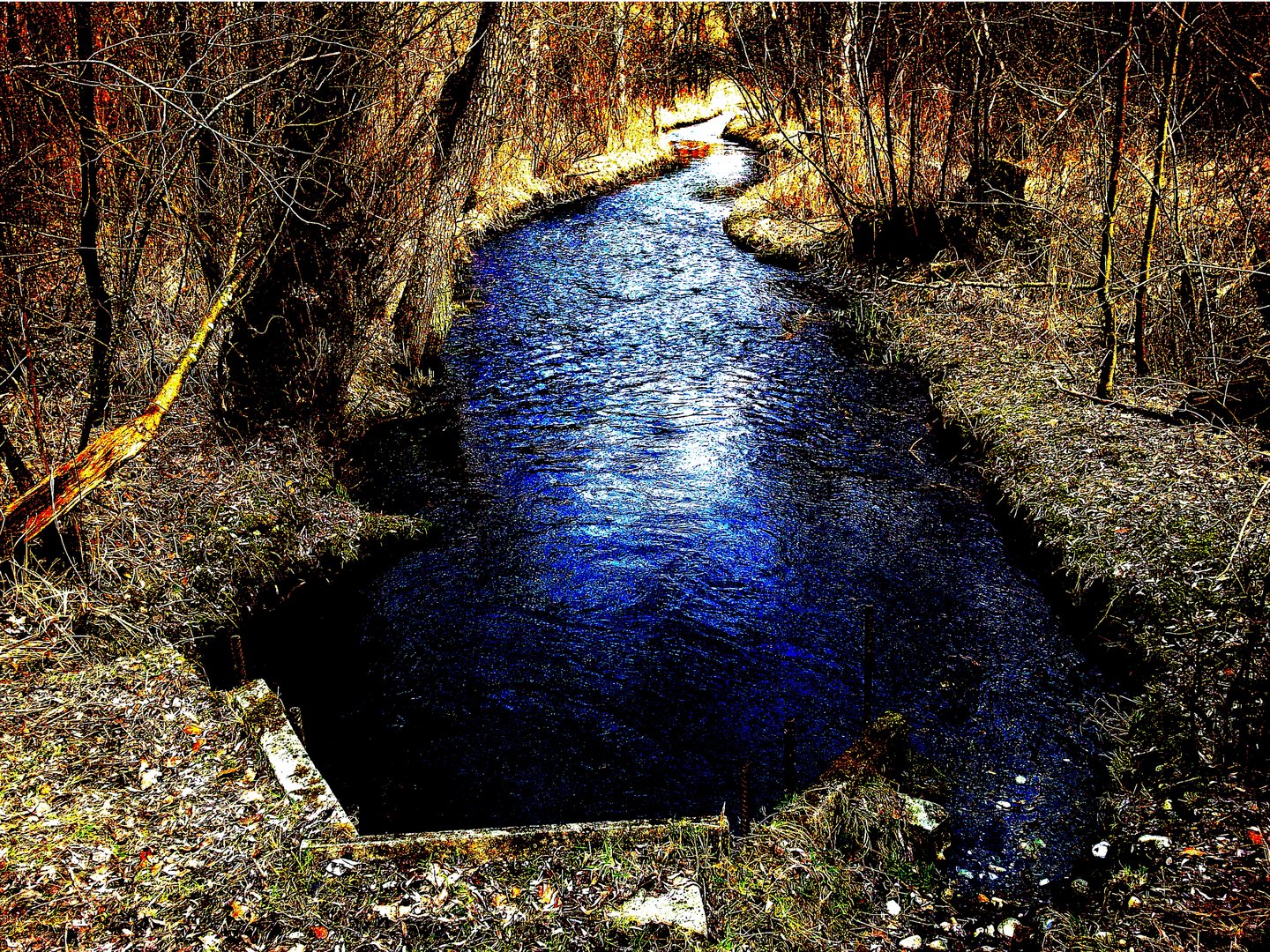 Blue Brook