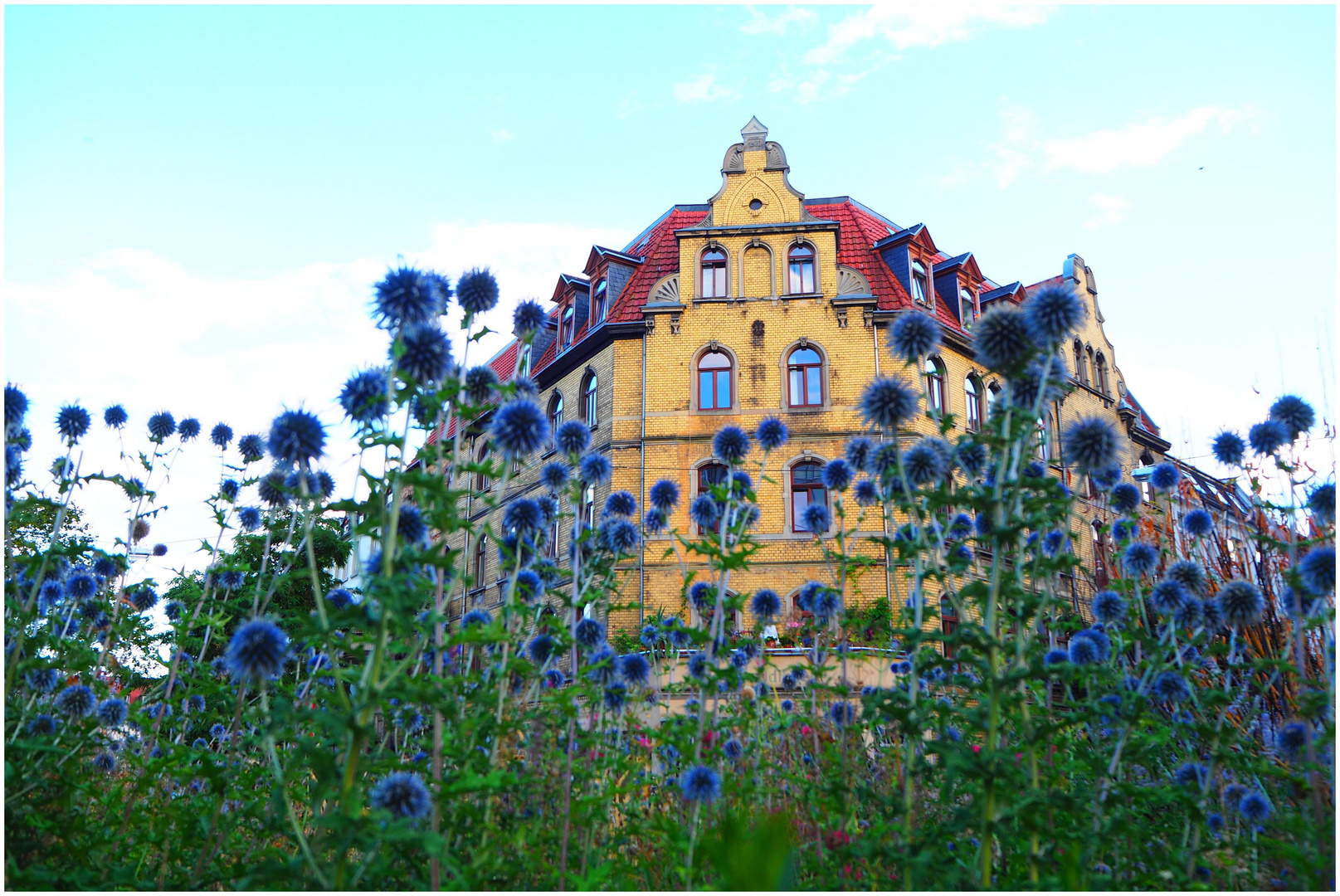 Blue-Bubble-House