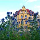 Blue-Bubble-House