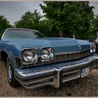 Blue Buick