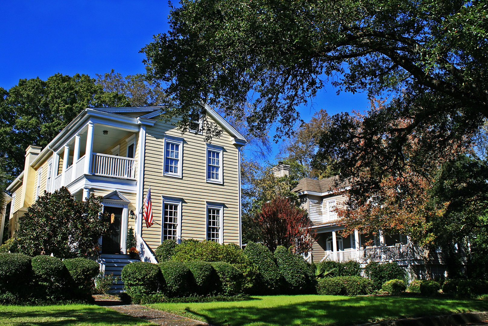 Blue Carolina Sky