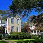 Blue Carolina Sky