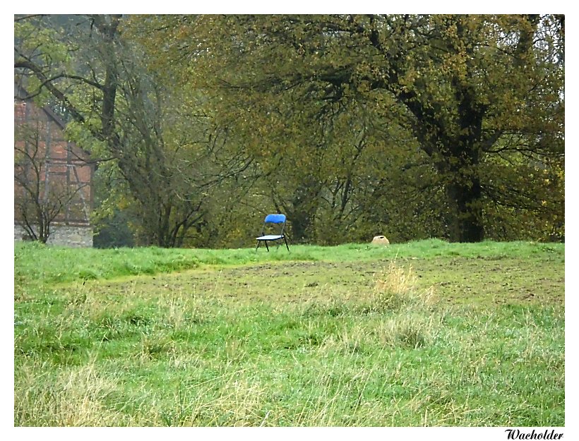 Blue Chair