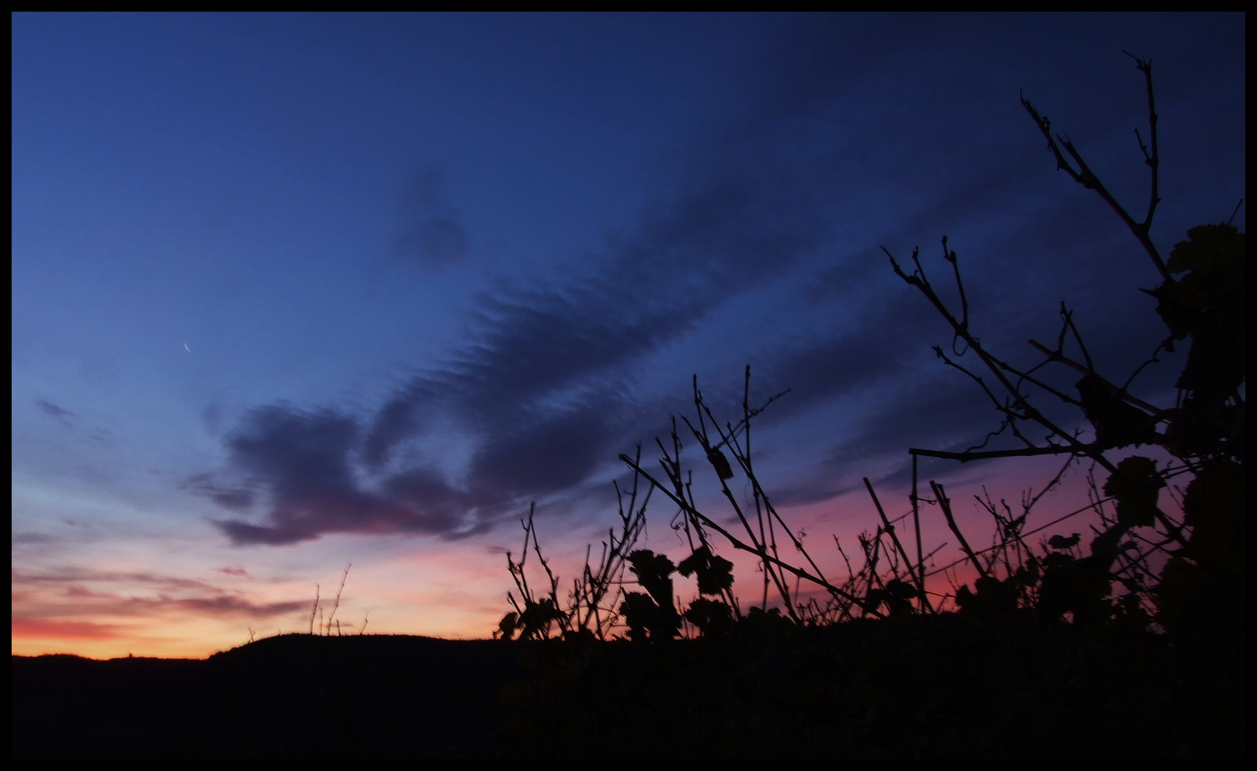 Blue Clouds