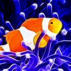 Blue Clownfish