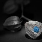 Blue core - Physalis