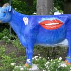 blue cow