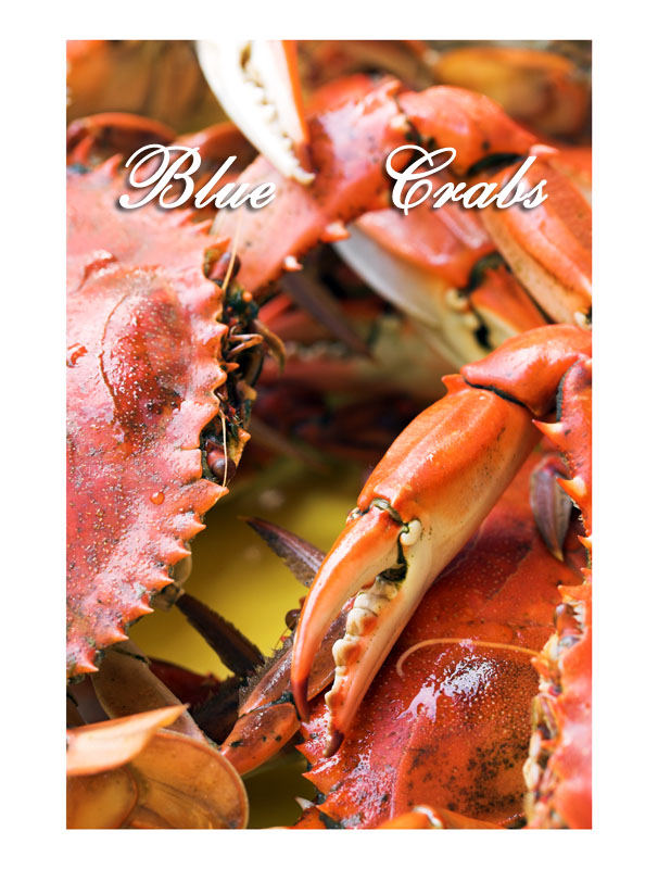 Blue Crabs