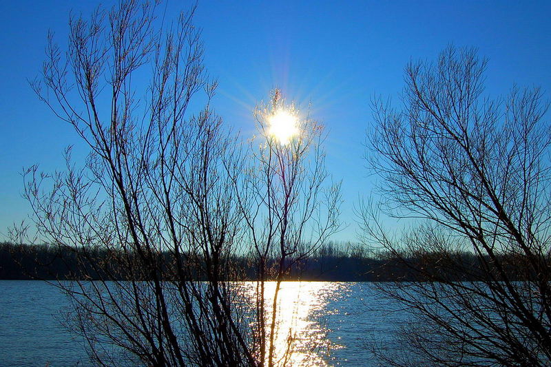 Blue Danube