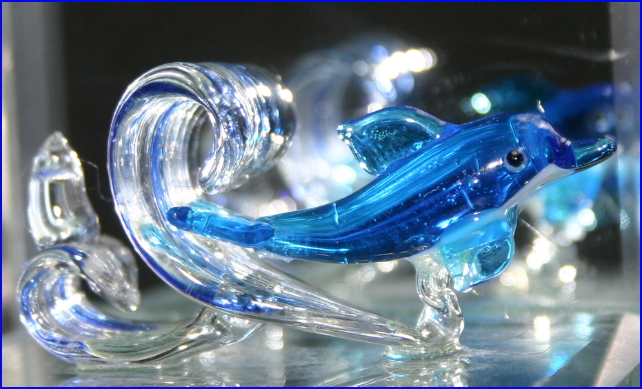 *** Blue Delphin ***