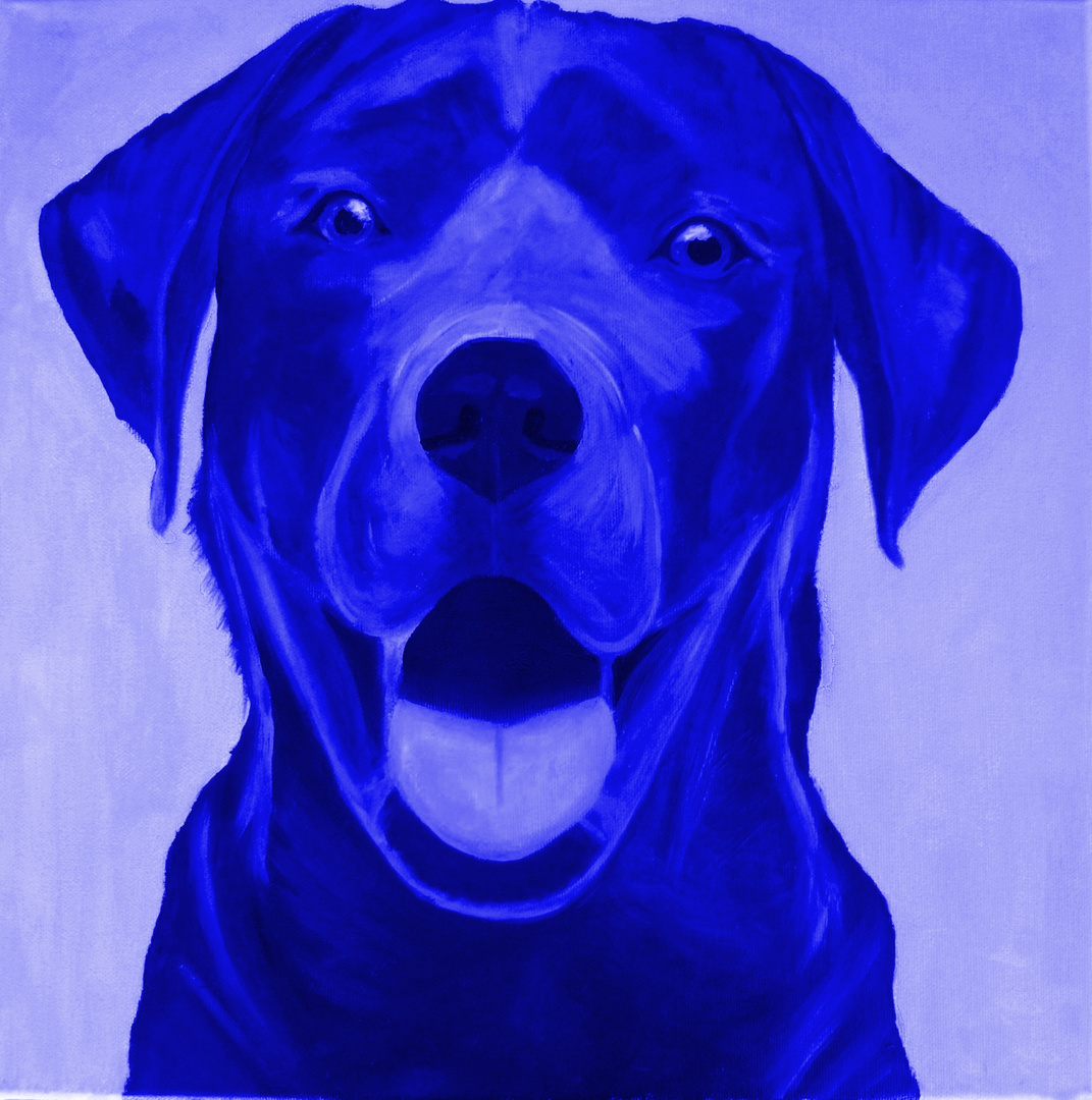 blue Dog