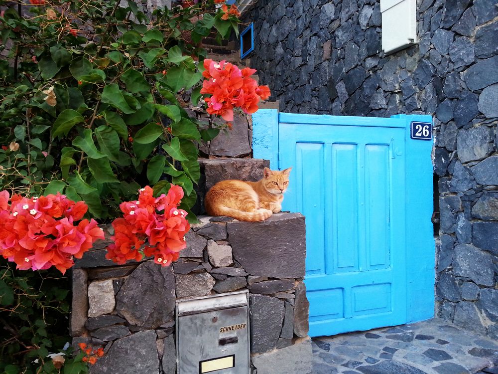 Blue Door