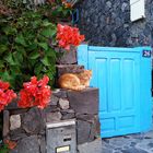 Blue Door