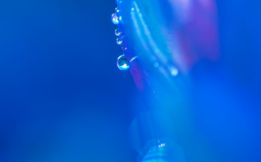 Blue Drop