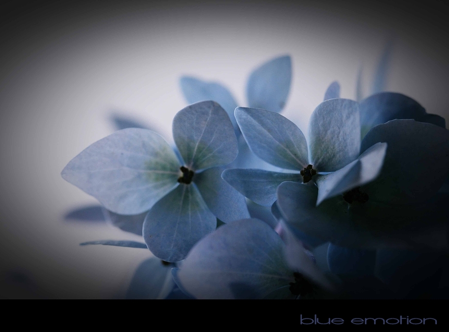 blue emotion