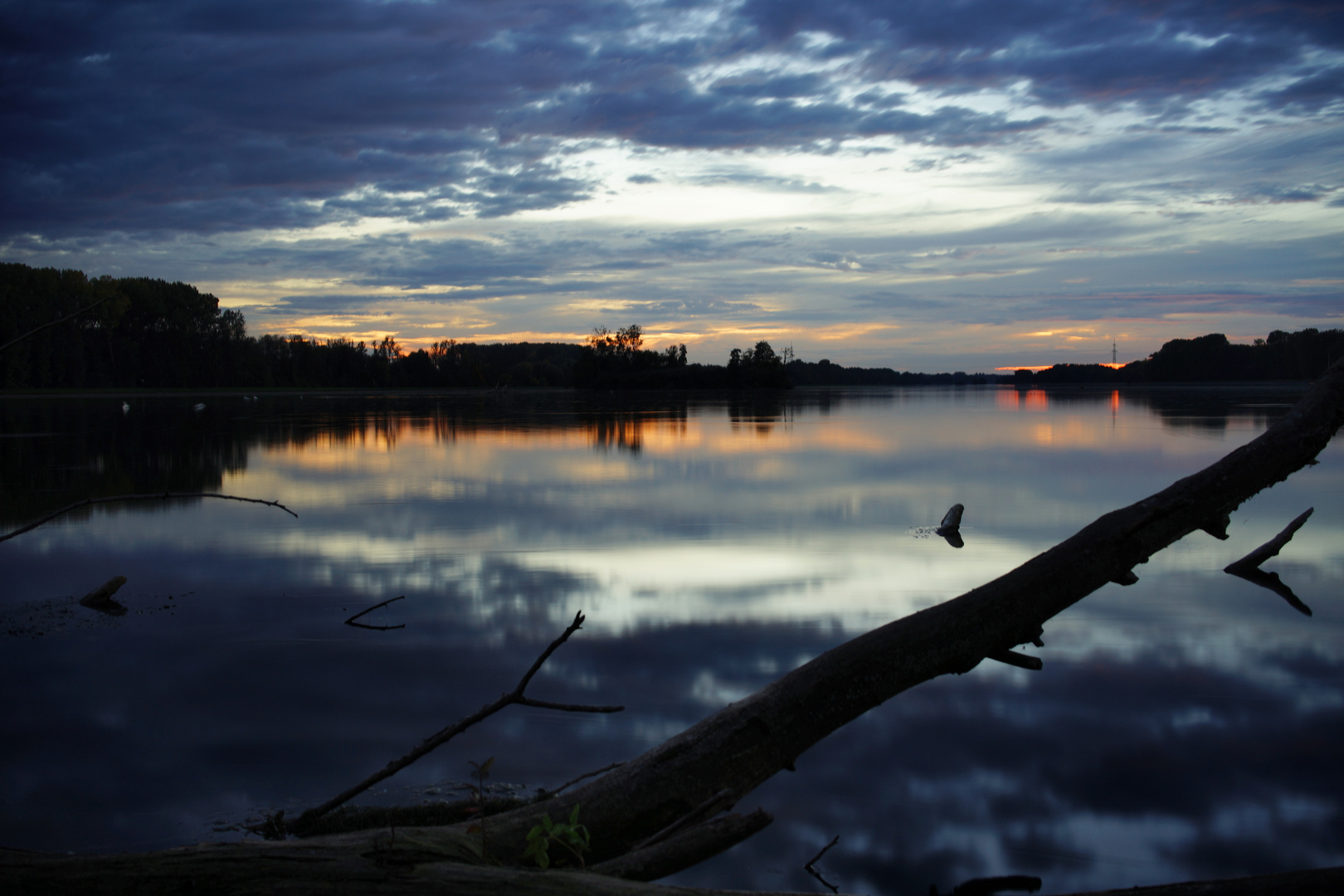 blue evening