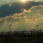 blue evening sky