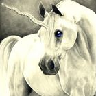 Blue Eye Unicorn