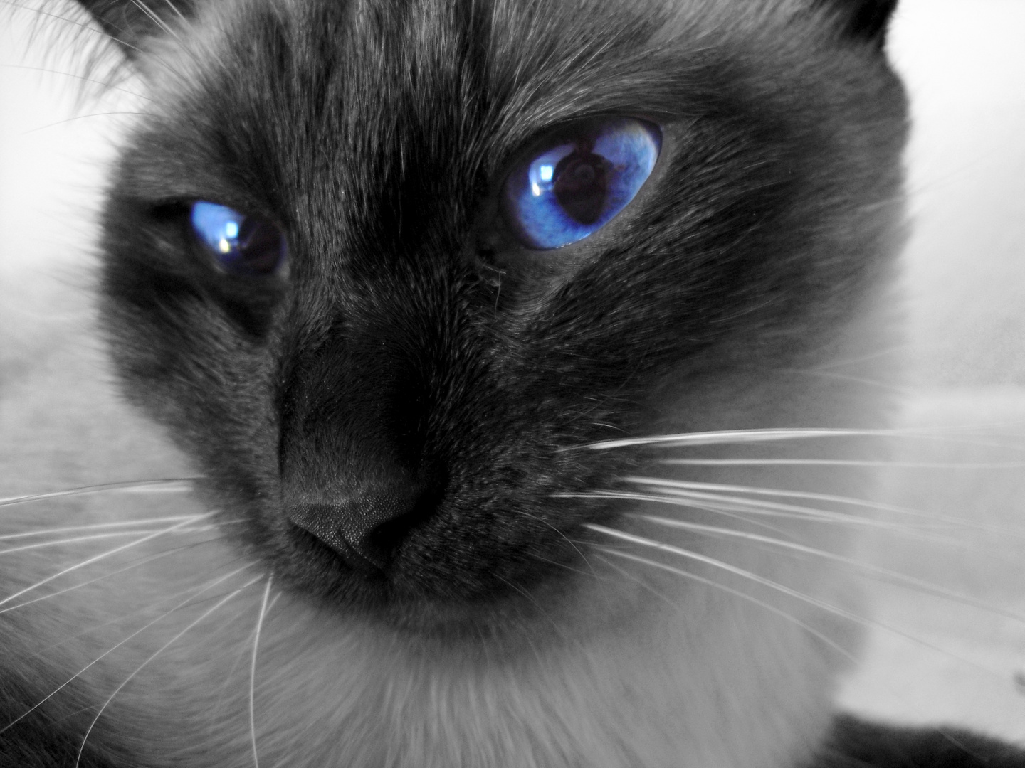 blue eyes