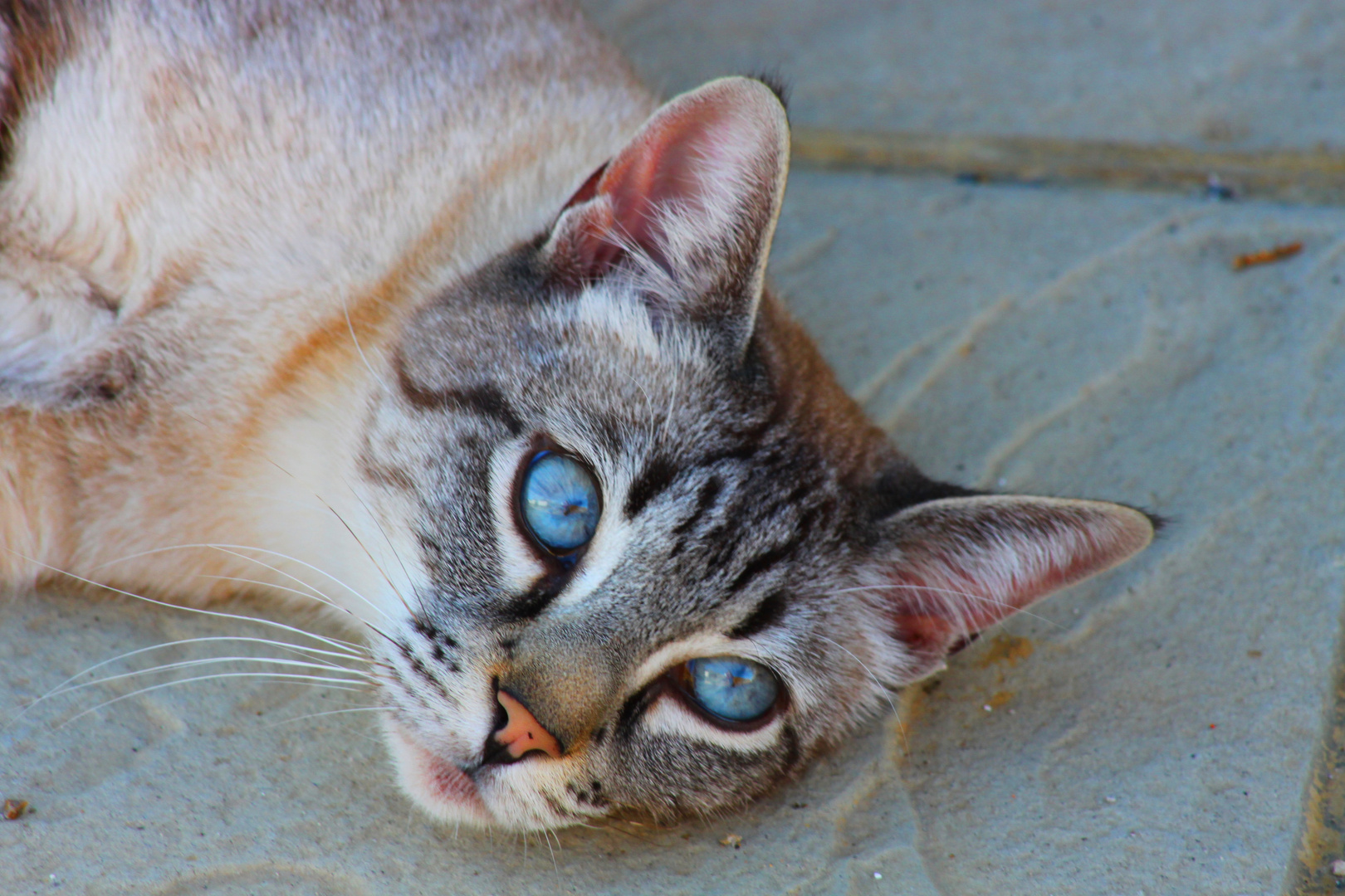 blue eyes