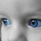 ...blue eyes junior...
