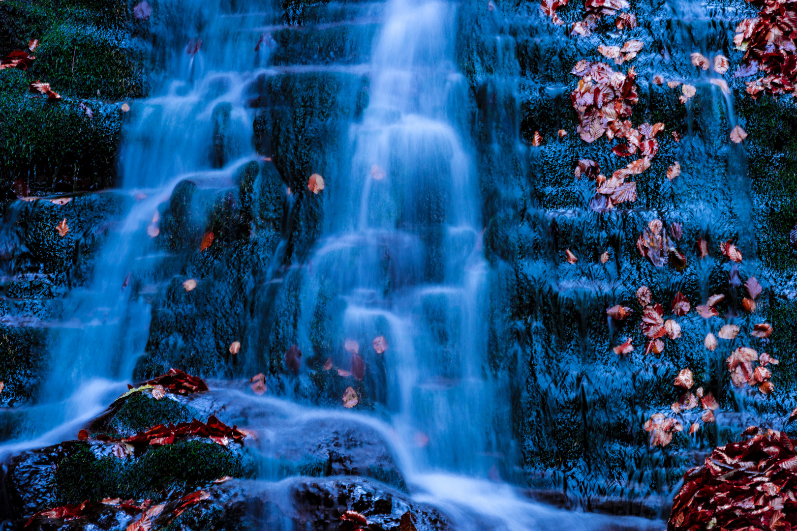 Blue Fall