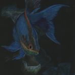 Blue fish