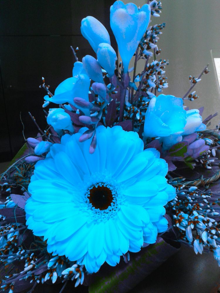 Blue Flowers